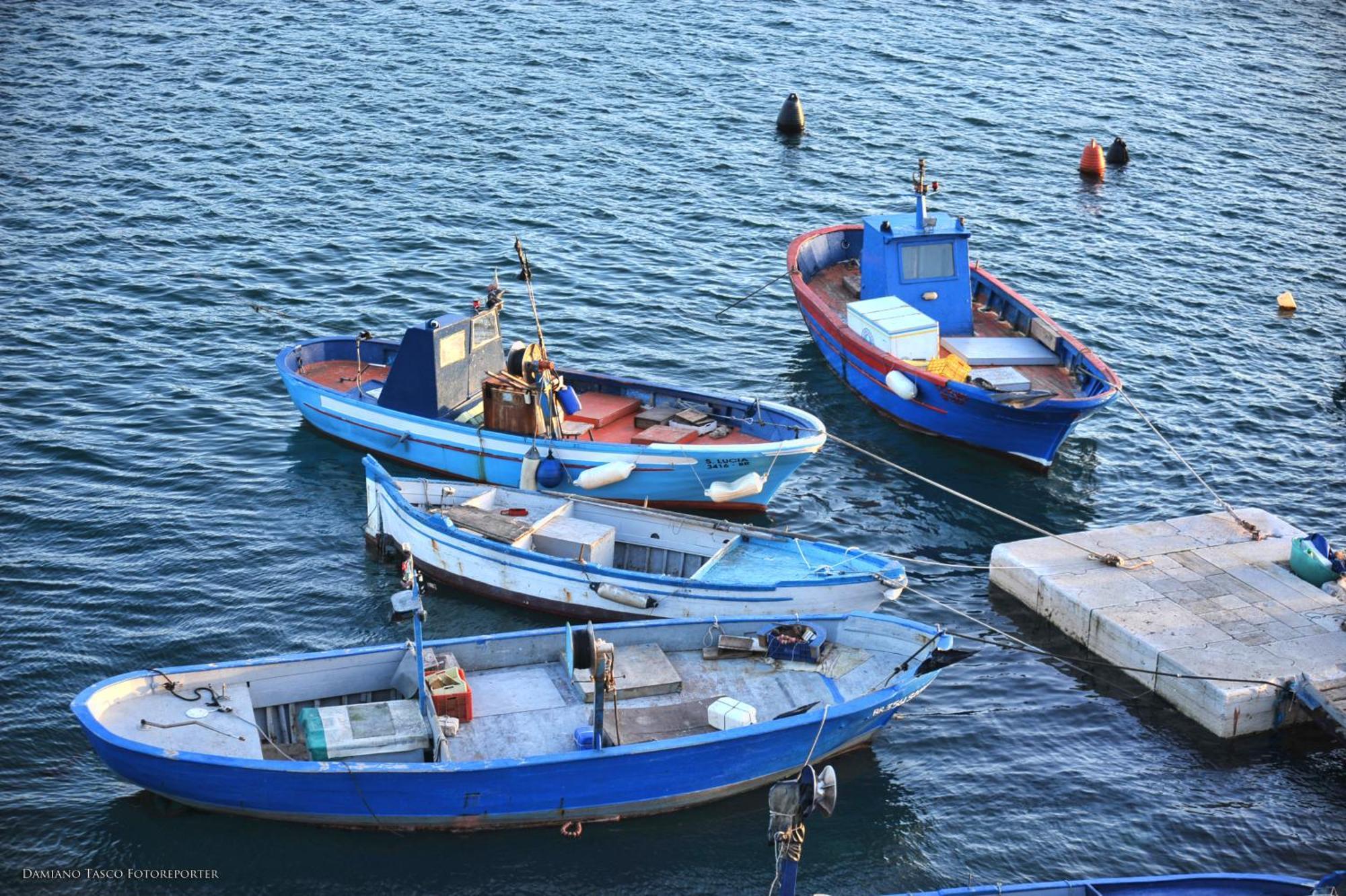 Le Quattro Stagioni * Brindisi